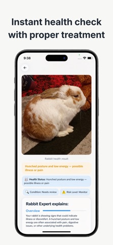 Rabbit Expert Screenshot 2 of 4