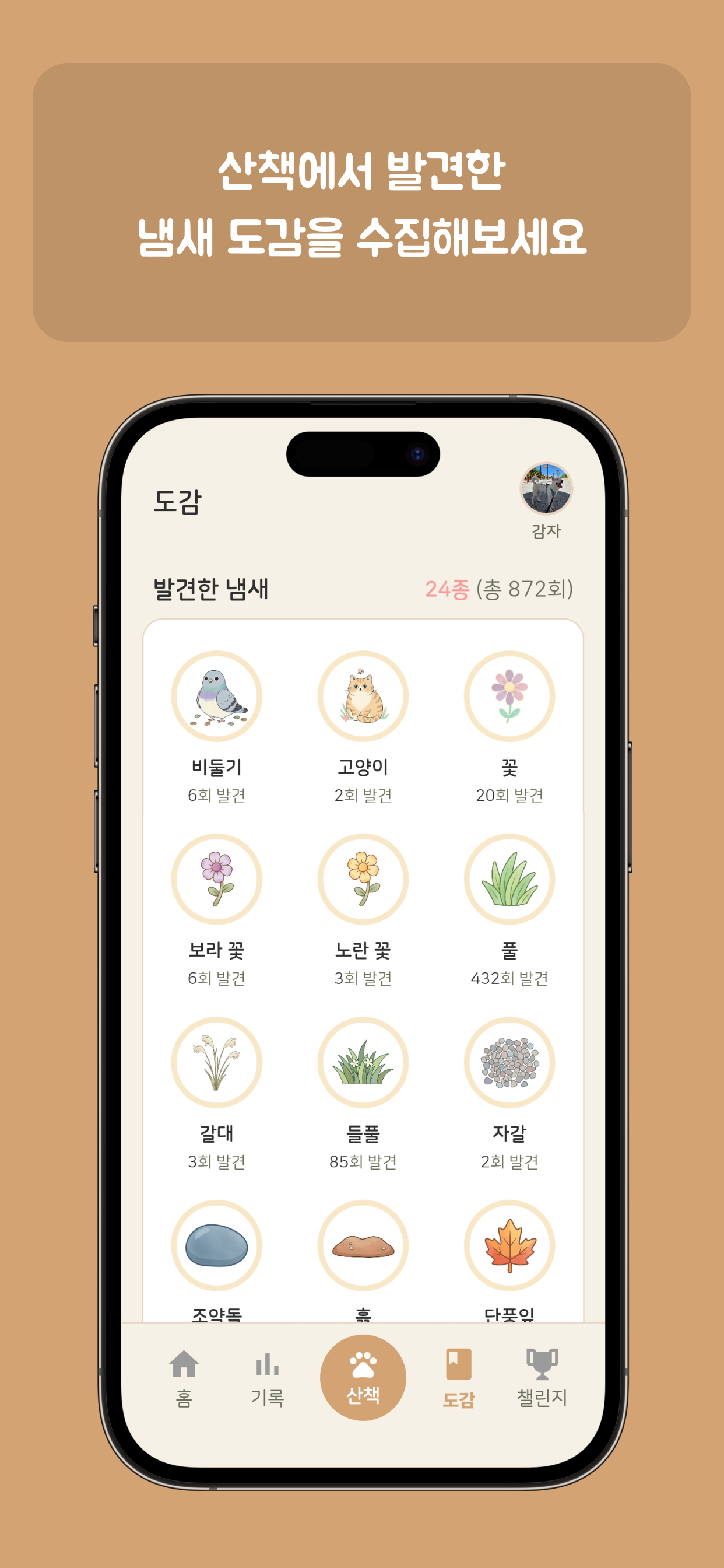 댕댕워크 - 반려견 산책을 더 재미있게! screenshot 6