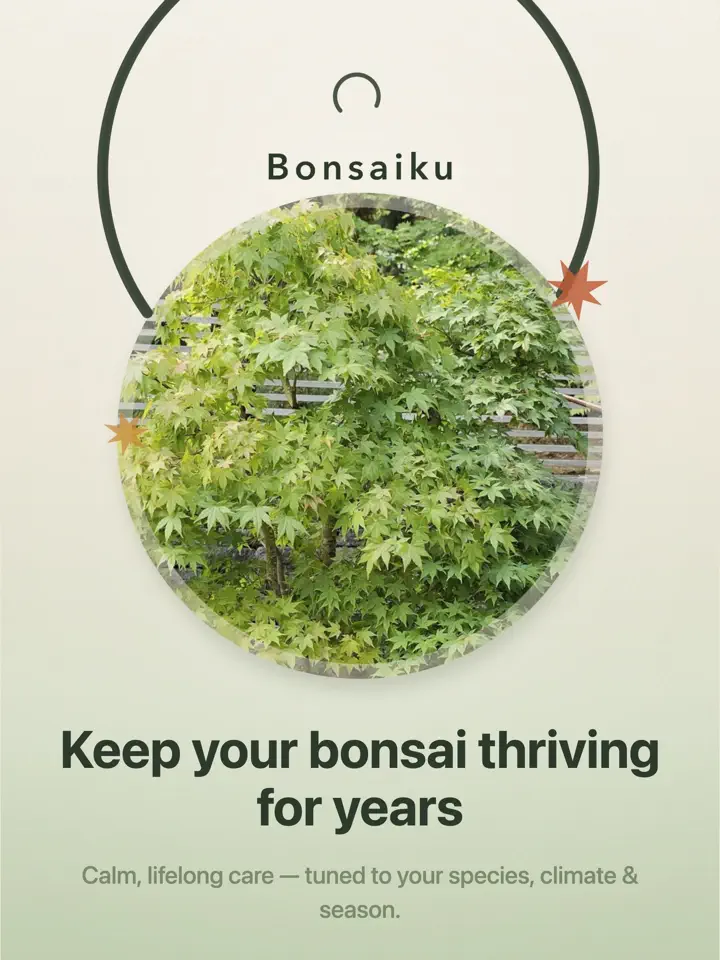 Bonsaiku on iPad: screenshot 1 of 7