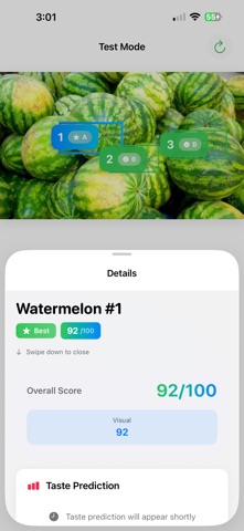 Watermelon Picker 1 Screenshot 3 of 9
