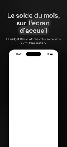 Caisso Budget Manuel screenshot