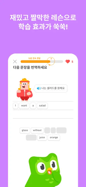 듀오링고(Duolingo): 언어 학습전체_3