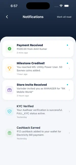 Savnex screenshot 3