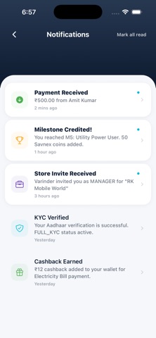 Savnex screenshot