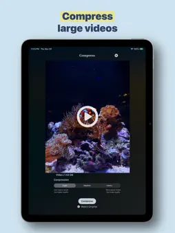 Shutter Declutter: Pic Cleaner screenshot 18