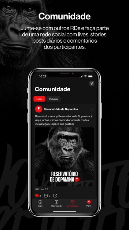 Reservatório de Dopamina