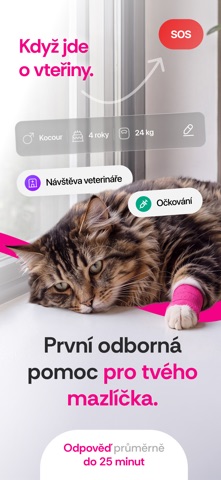 Vetee screenshot