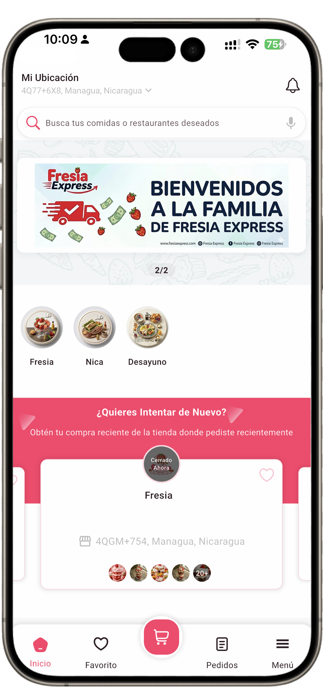 Fresia Express screenshot 2