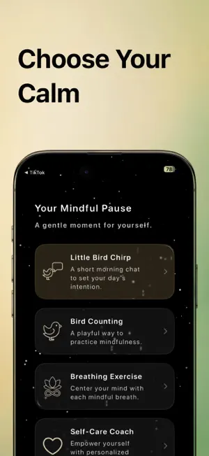 ScreenMindful: Digital Detox screenshot 3