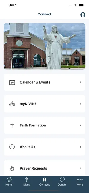 Divine Mercy Parish Gardner screenshot 3