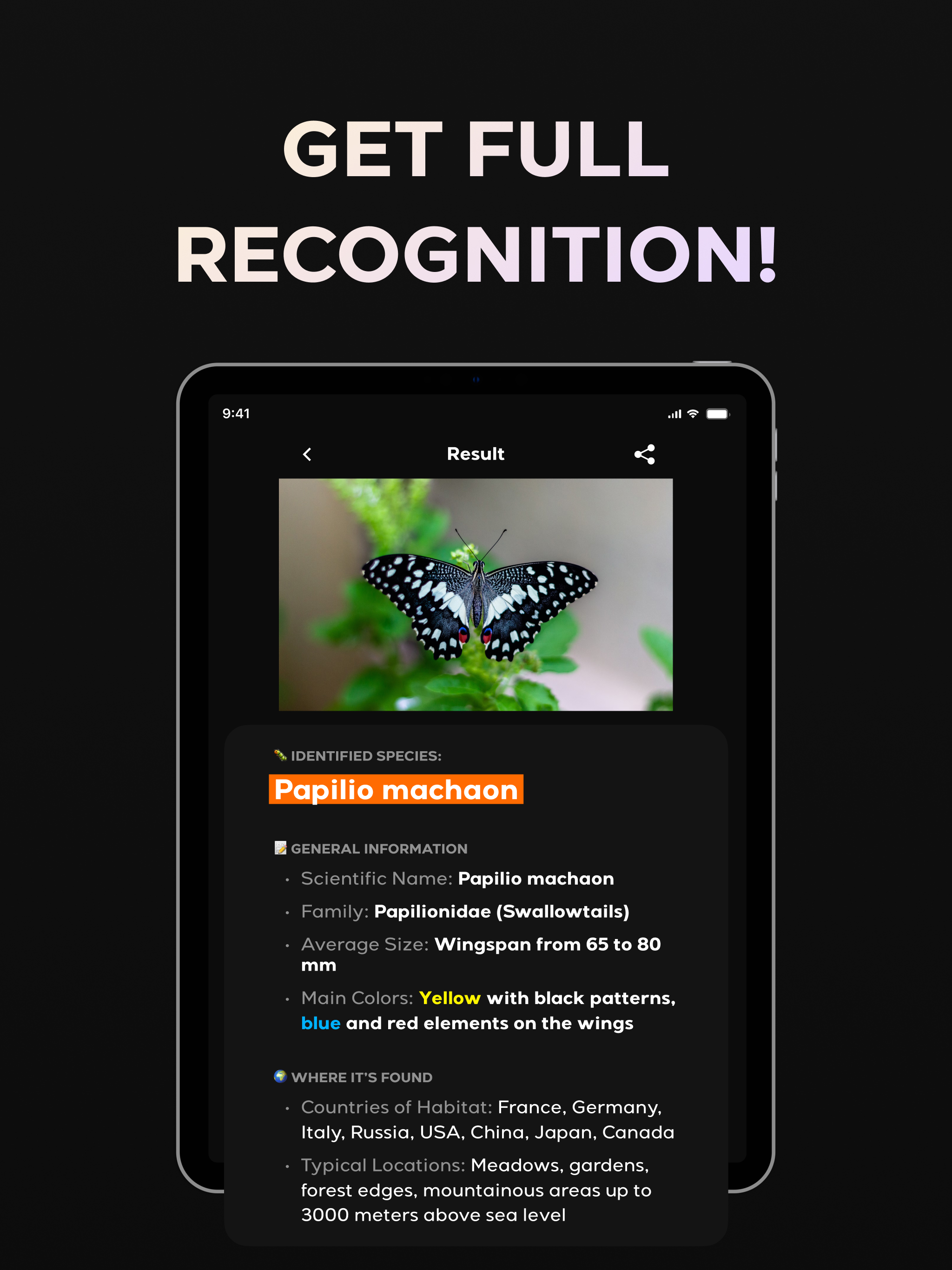 Butterfly Identifier AI Bug ID screenshot 7
