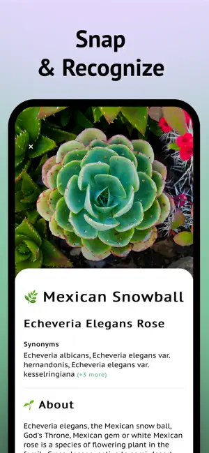 Succulent Identifier App screenshot 2