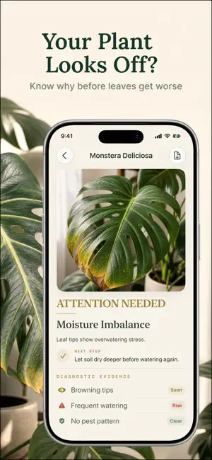 Aroida: Plant Health & ID screenshot 1