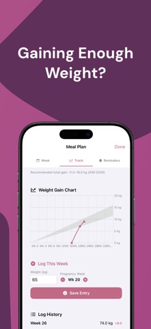 Bump Bites Pregnancy Meal Plan screenshot