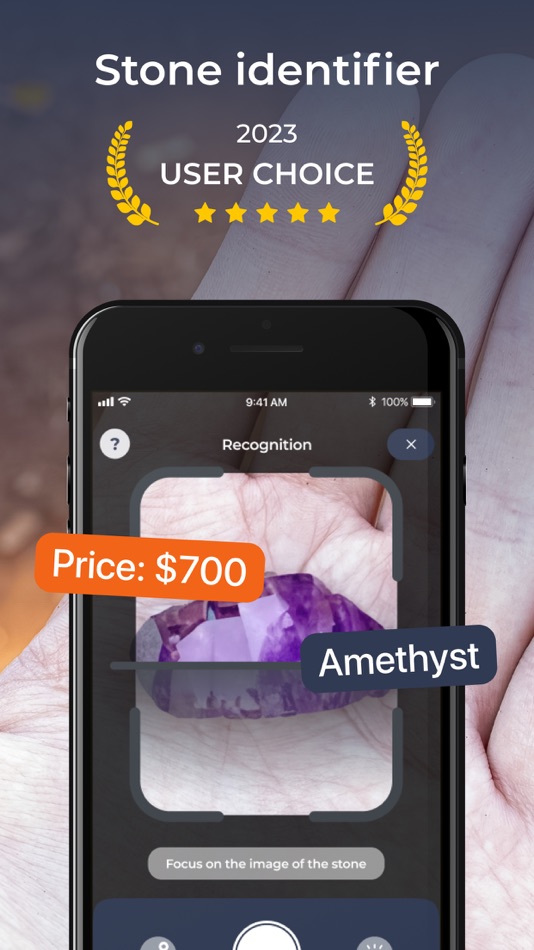 #1. Stone Identifier: Rock Scanner (iOS) 由: AI DEV