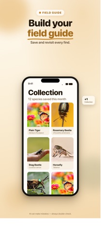 Insect Identifier — AI Bug ID Screenshot 5 of 6