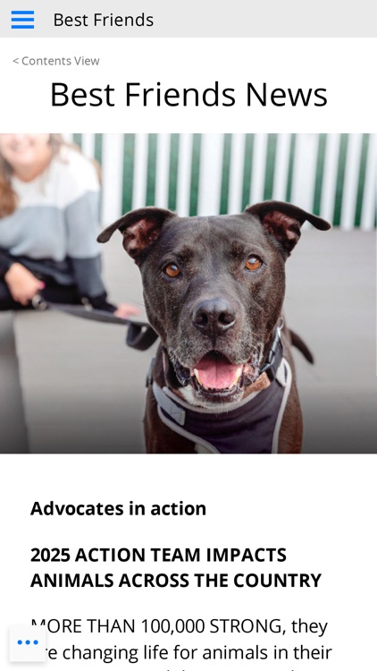 Best Friends Magazine screenshot-4