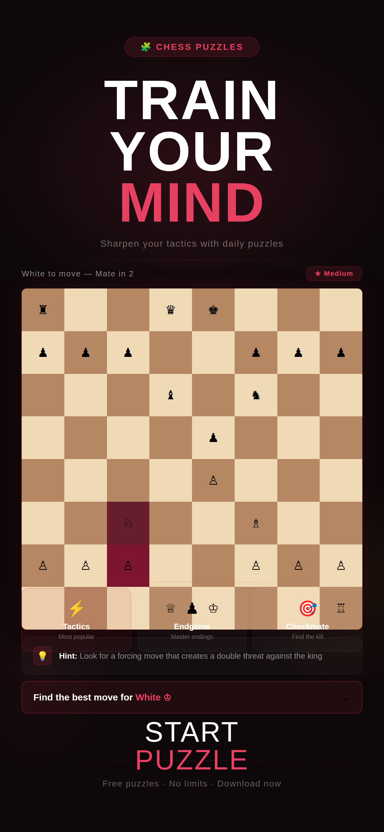 Chess Champion screenshot 6