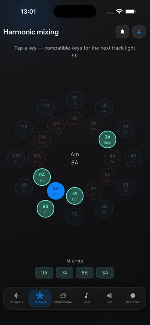 BeatScope Studio screenshot 2