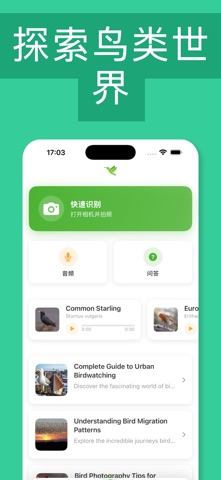 鸟类识别器: Kurdelyun screenshot