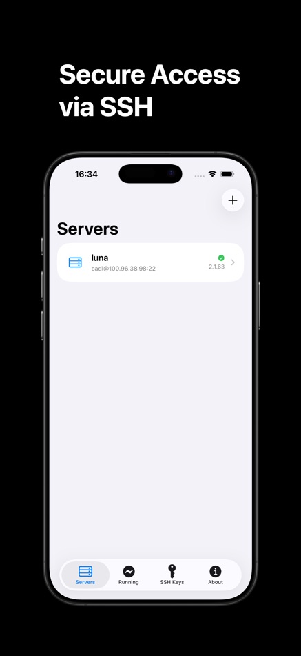 #9. ServerCC - Claude Code & Codex (iOS) โดย: 佳琳 刘