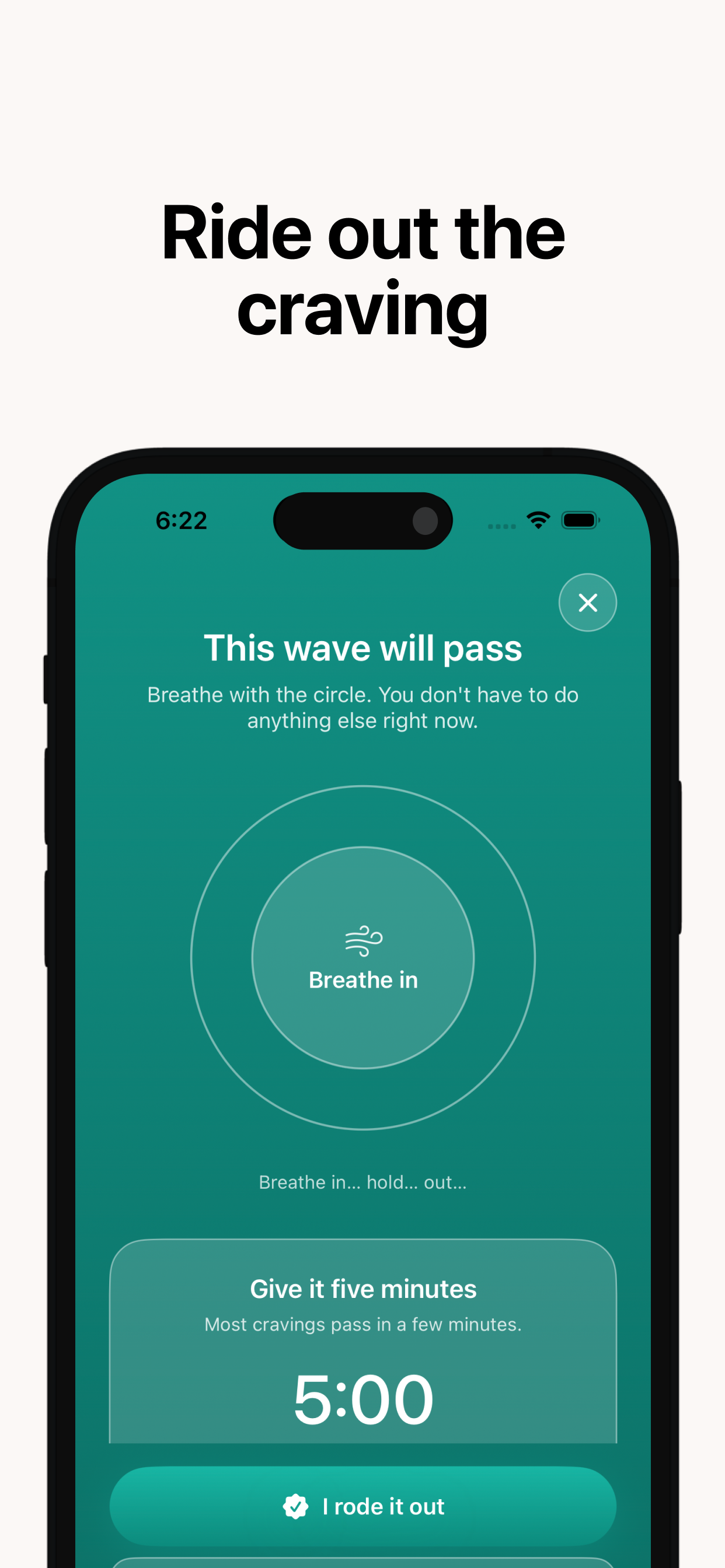 PuffDown: Quit Vaping Tracker