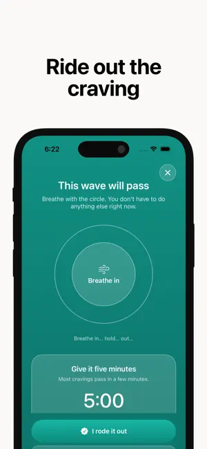 PuffDown: Quit Vaping Tracker screenshot 3