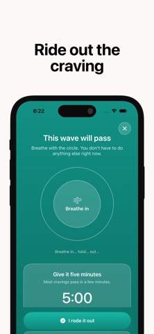 PuffDown: Quit Vaping Tracker iPhone screenshot