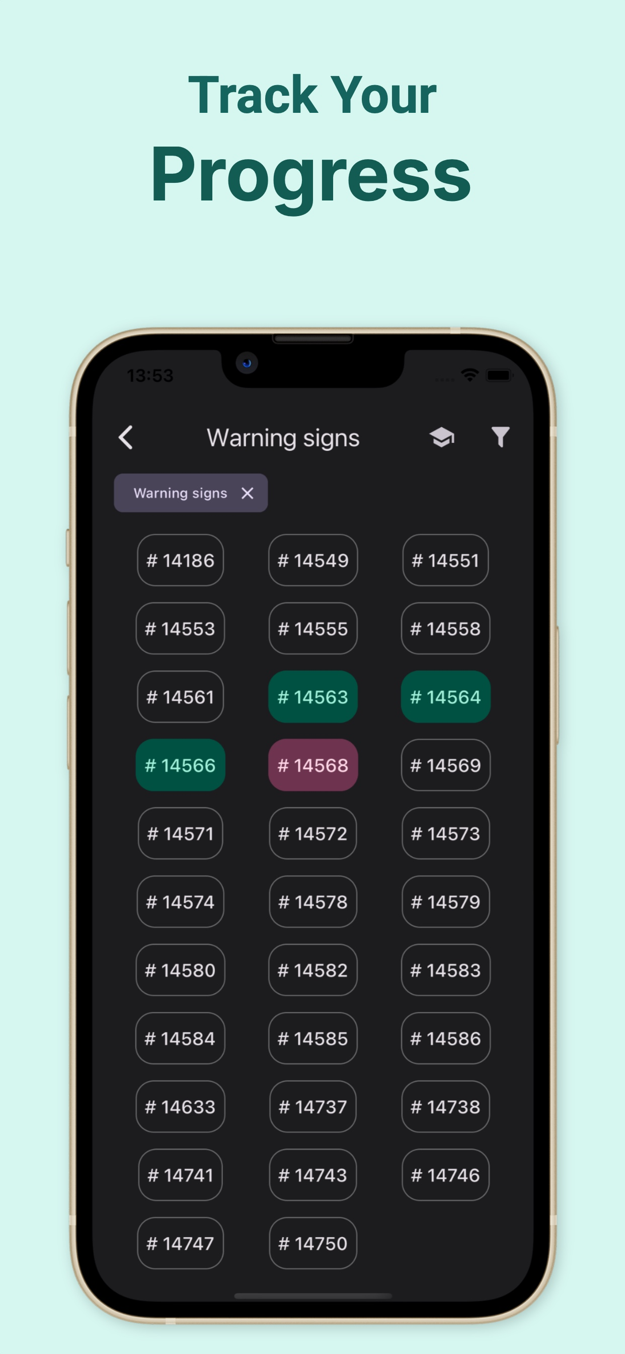 Georgian Traffic Rules - Tests