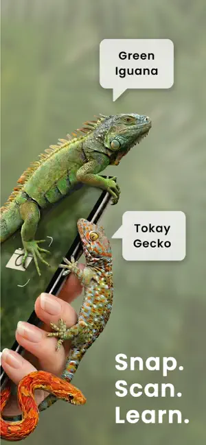 Snake Identifier: Reptile AI screenshot 2