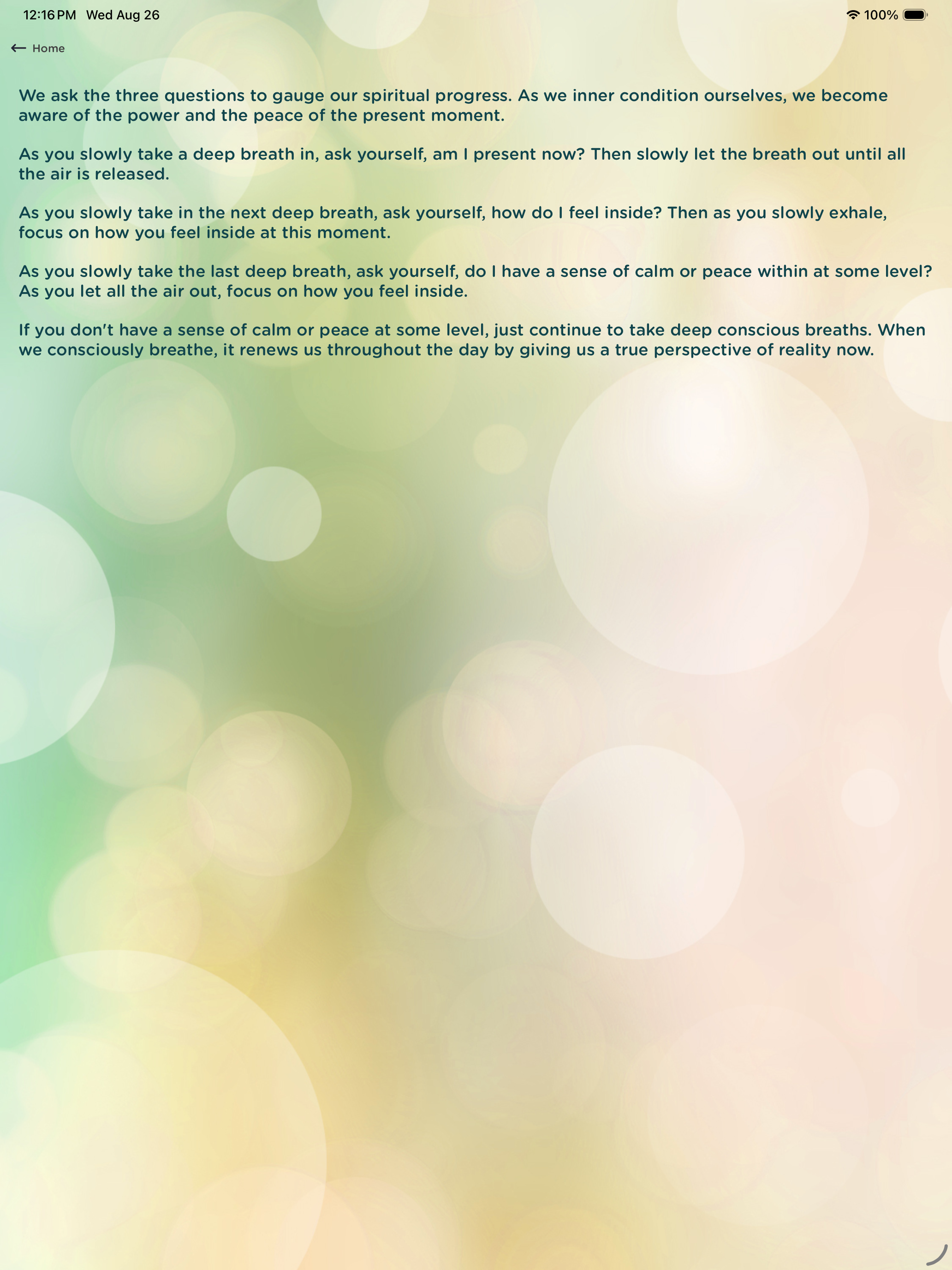 Practicing Presence screenshot 13