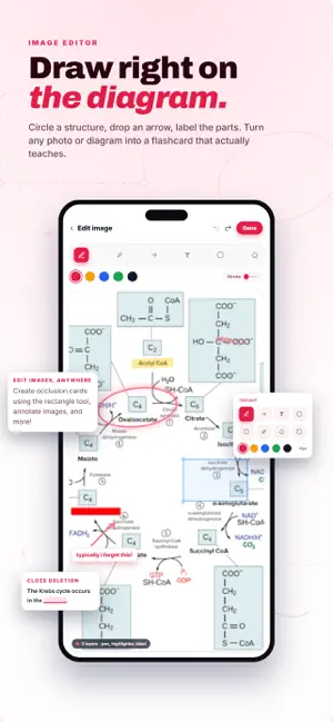 Nebulearn: AI Flashcards screenshot 3
