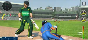World Champion 3D Cricket Game screenshot 2