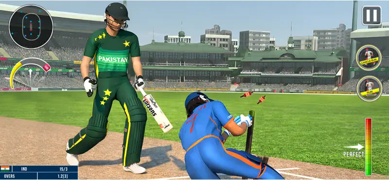 World Champion 3D Cricket Game screenshot 2 of 8