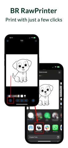 BR RawPrinter Screenshot 1 of 3