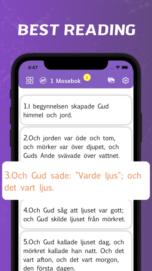 #2. Swedish Bible - offline (iOS) 由: Sumithra Kumar