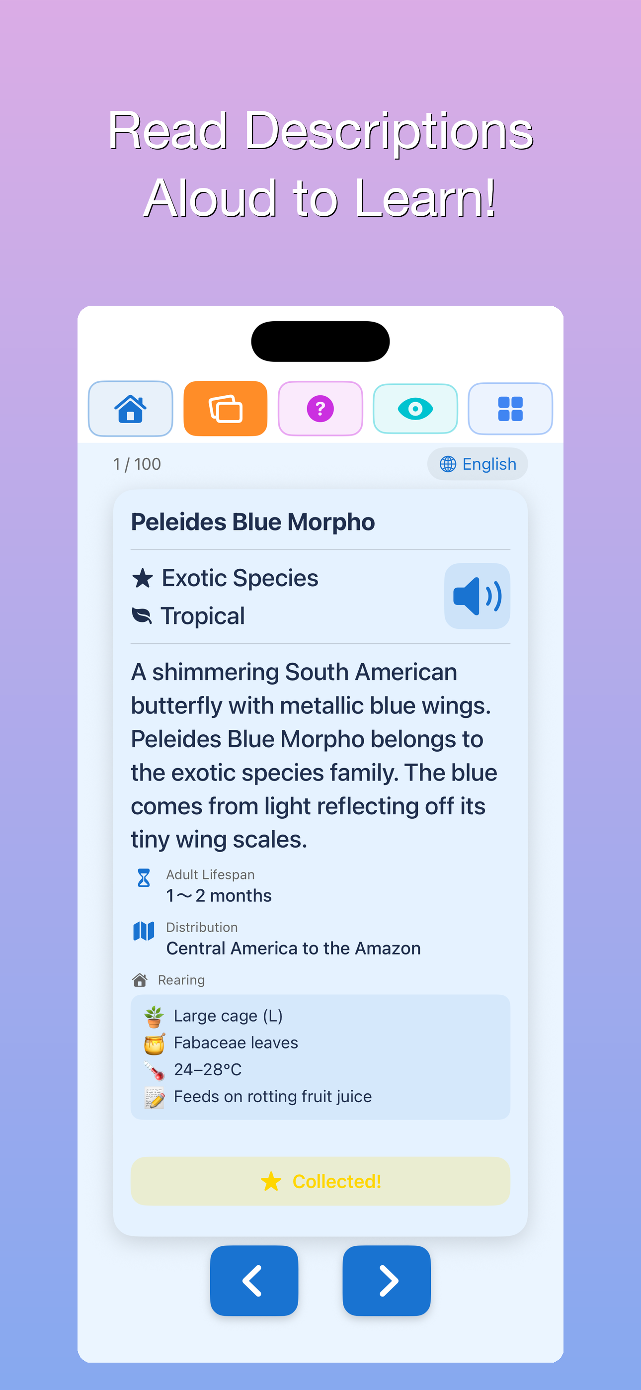 100 Butterflies Encyclopedia screenshot 7