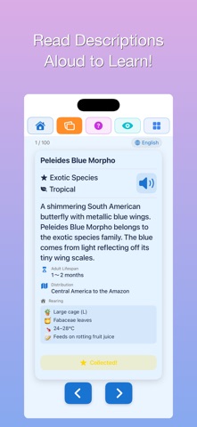 100 Butterflies Encyclopedia Screenshot 6 of 7