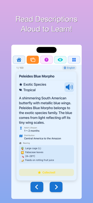 100 Butterflies Encyclopedia Screenshot 6 of 7