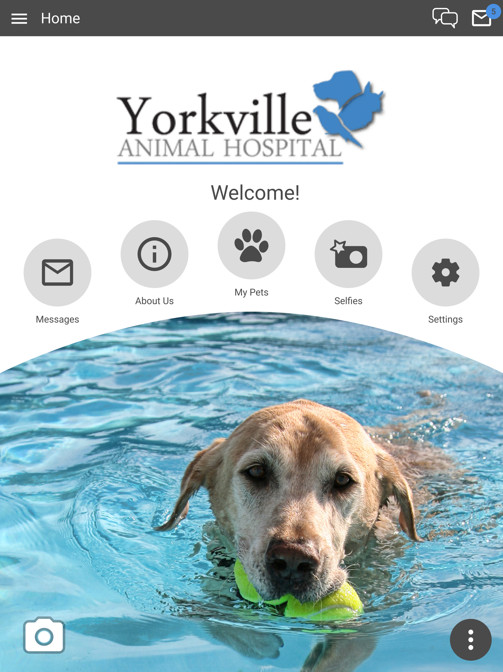 YAHPets screenshot 6