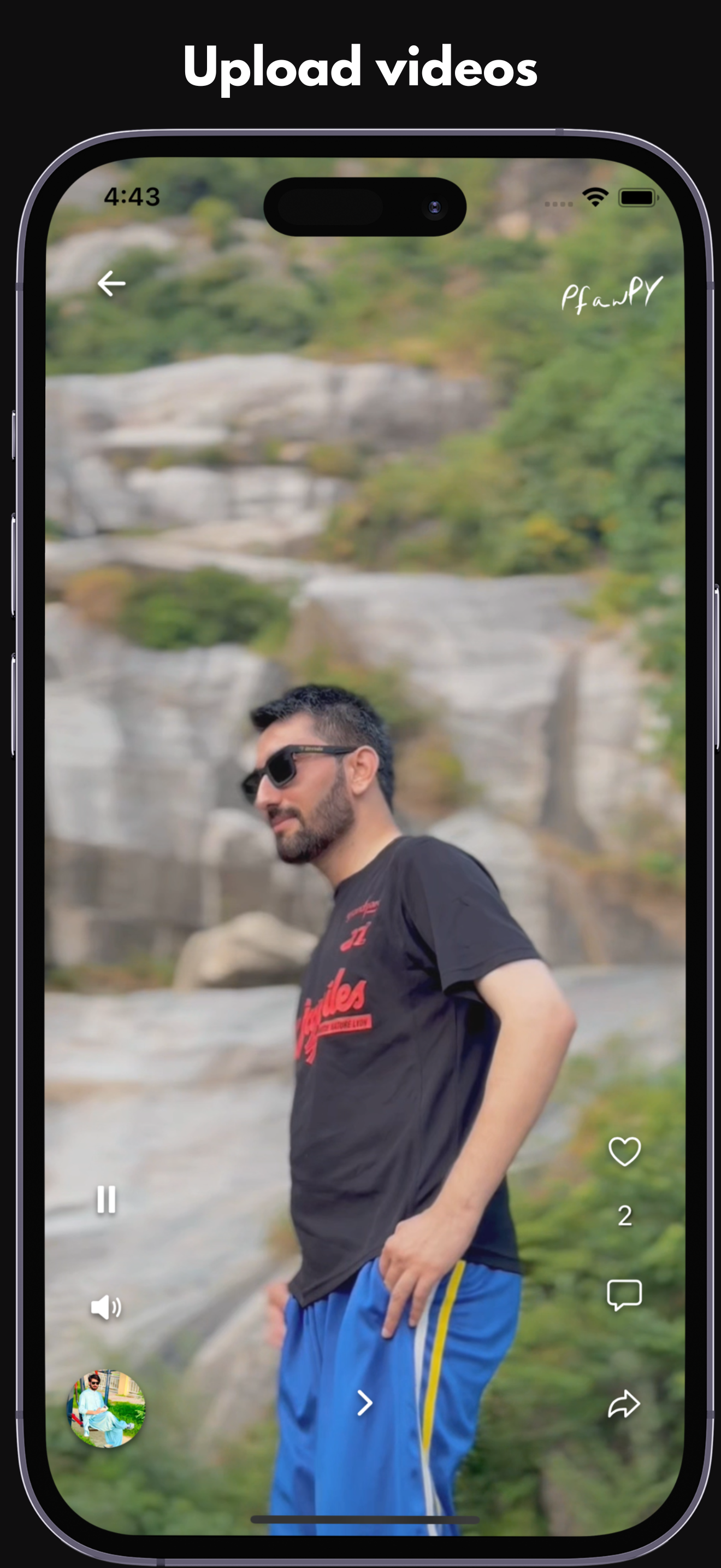 Pfawpy screenshot 2