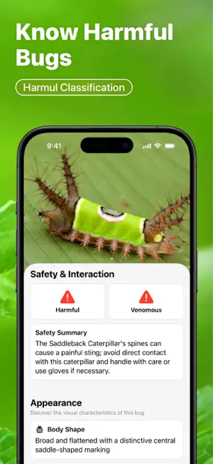 Insect Bug Identifier : Buzzy screenshot 3