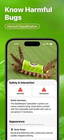 Insect Bug Identifier : Buzzy screenshot