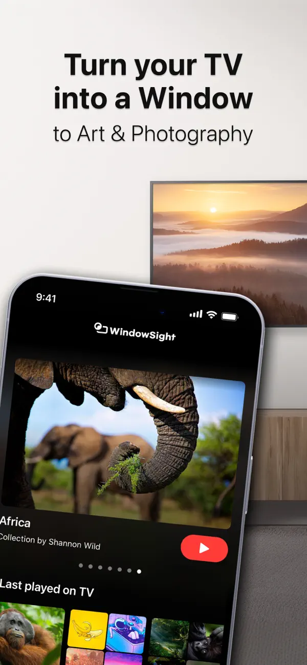 Screenshot #1 pour WindowSight: Art & Photography