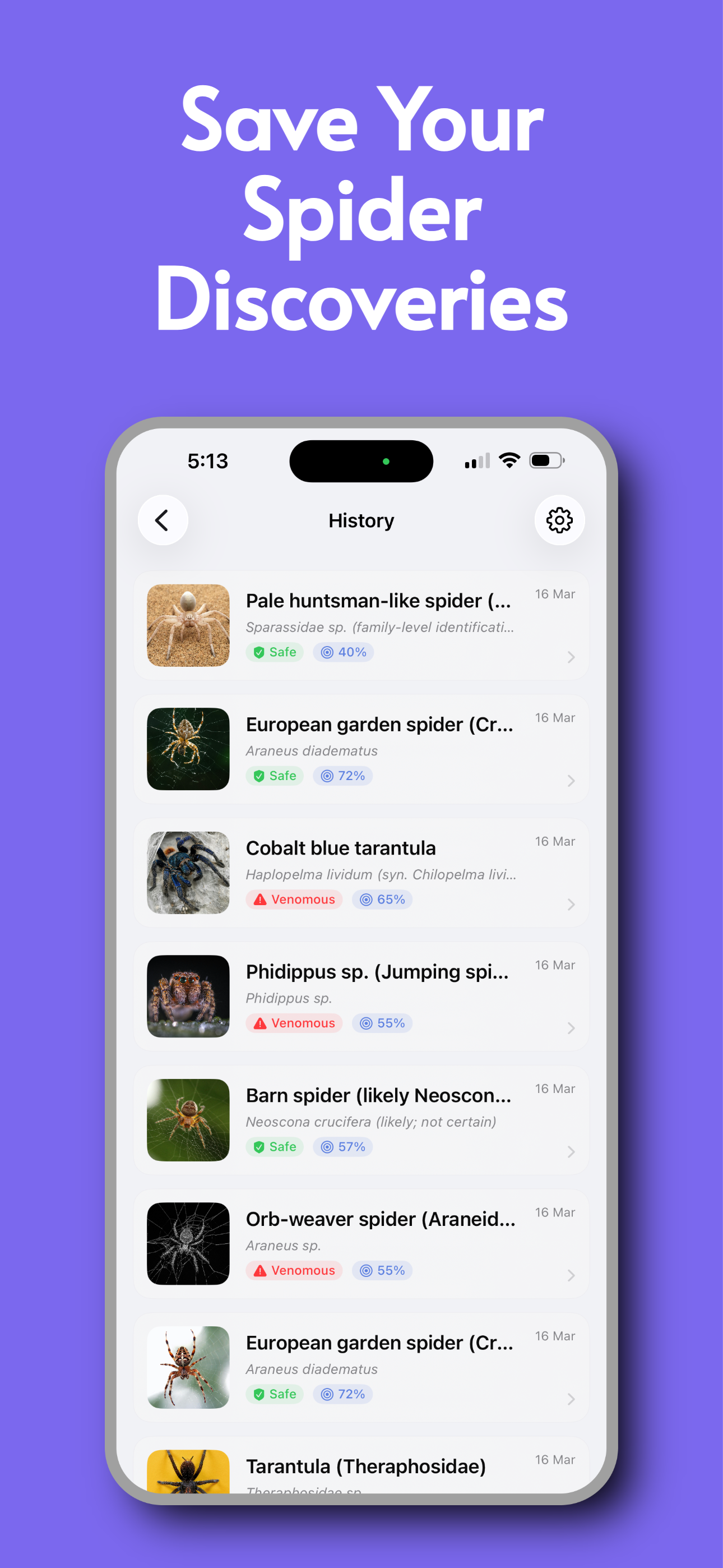 Spider Identifier AI Scanner