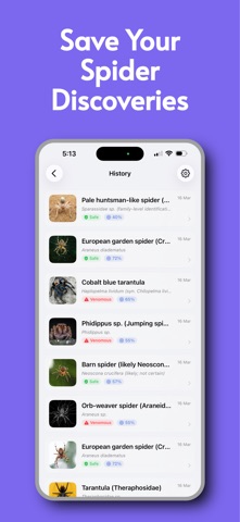 Spider Identifier AI Scanner Screenshot 5 of 5