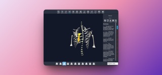 FEMALE 3D ANATOMY のスクリーンショット