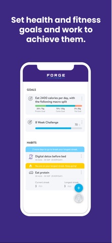 Forge Training screenshot