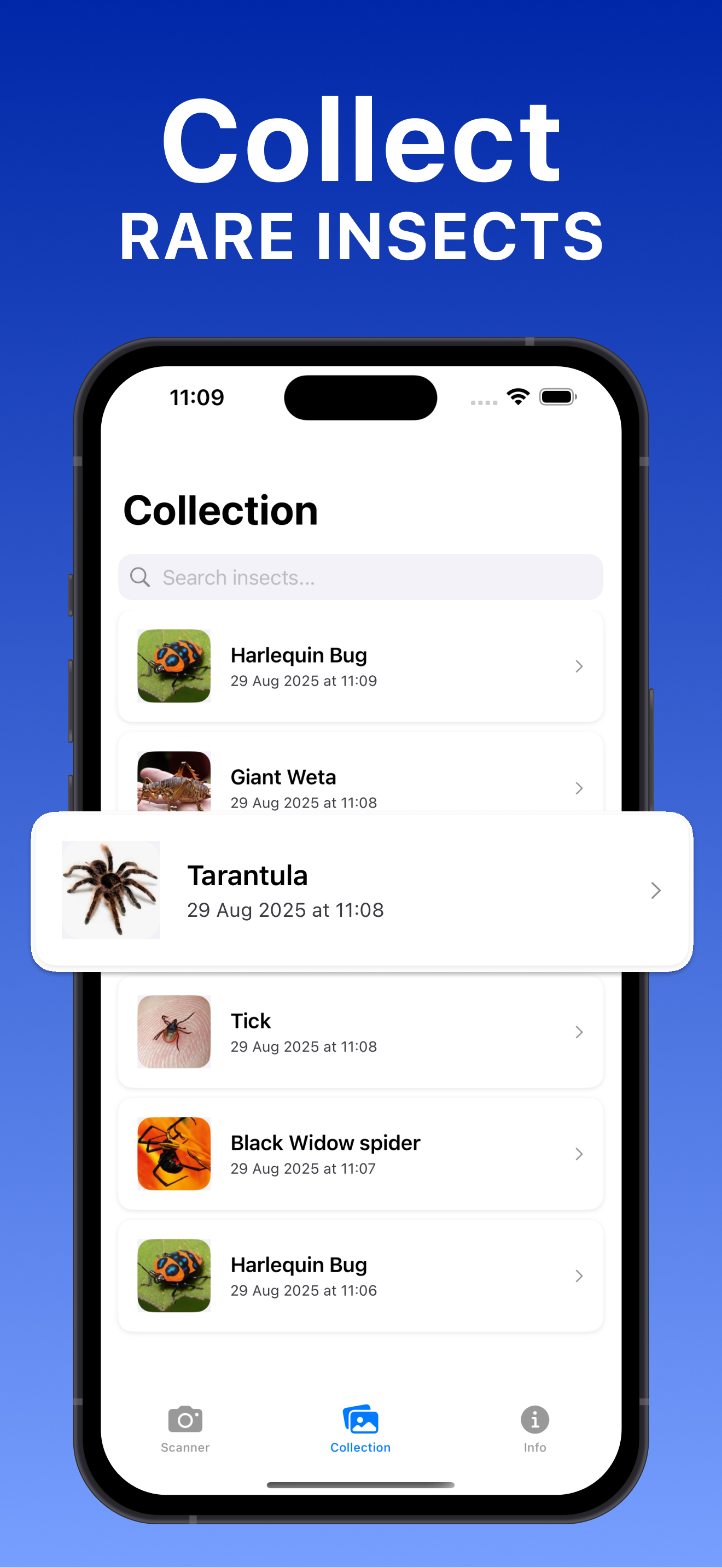 Insect Bug Identifier Finder
