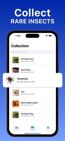 Insect Bug Identifier Finder Screenshot 4 of 5